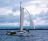 Sailing on our lake here